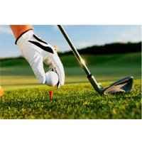 25 eBook di golf