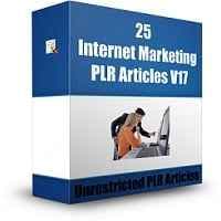 25 Articoli di Internet Marketing PLR V17