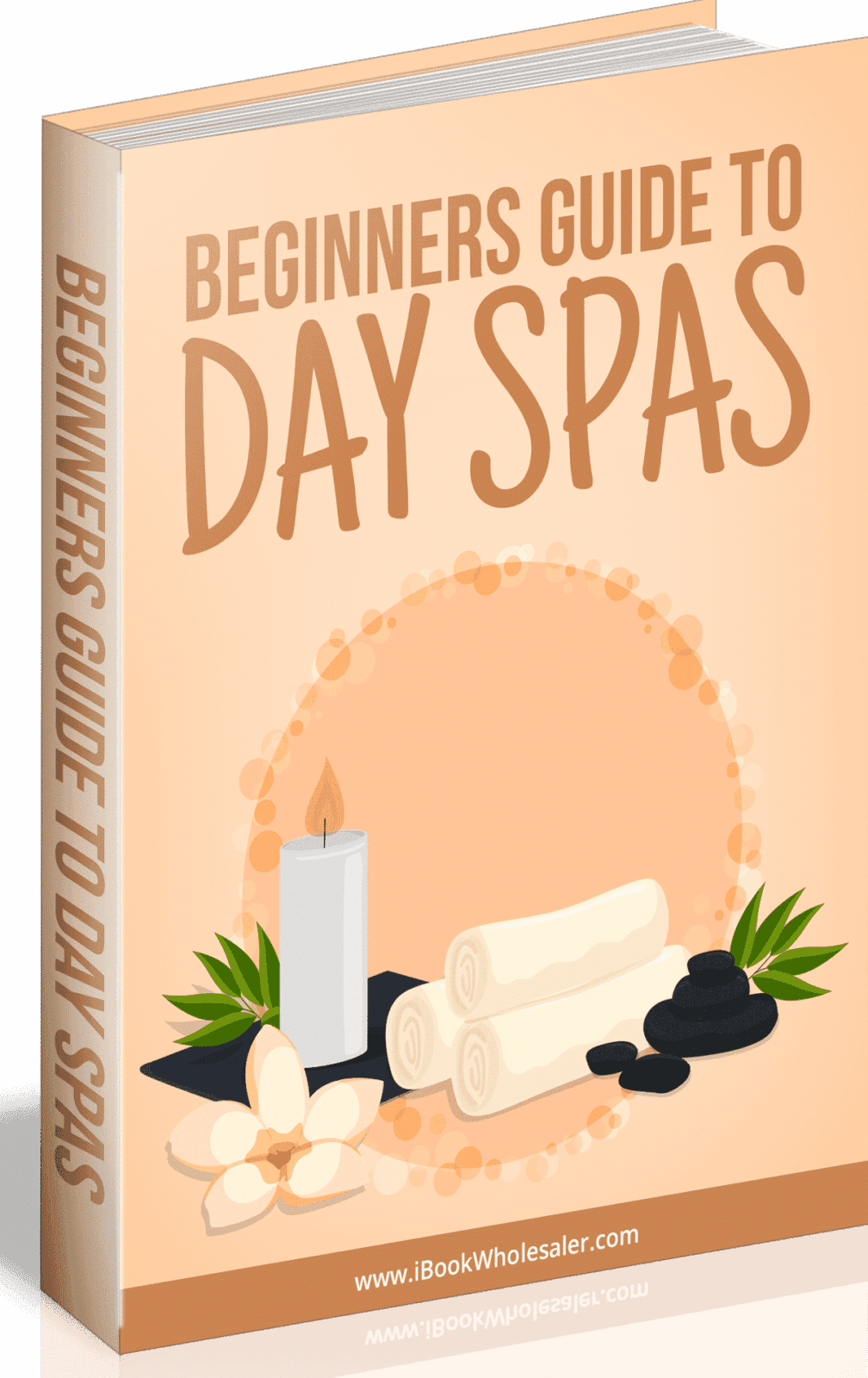 Beginner’s Guida alle terme diurne