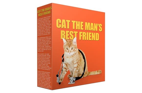 Cat Mans miglior amico PLR articoli