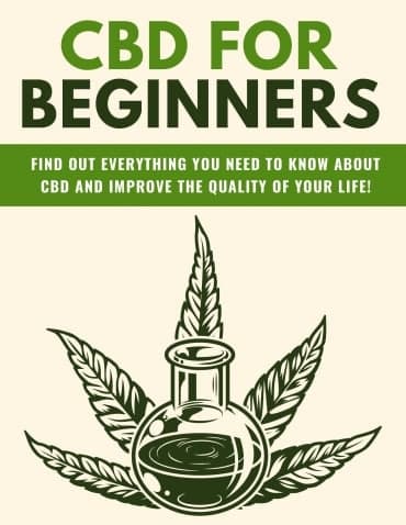CBD per principianti