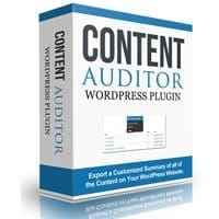 Plugin WordPress per auditor di contenuti
