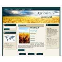Tema di Cornfield WP