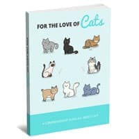 Per l'amore dei gatti