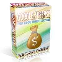 Google Adsense per la monetizzazione del blog