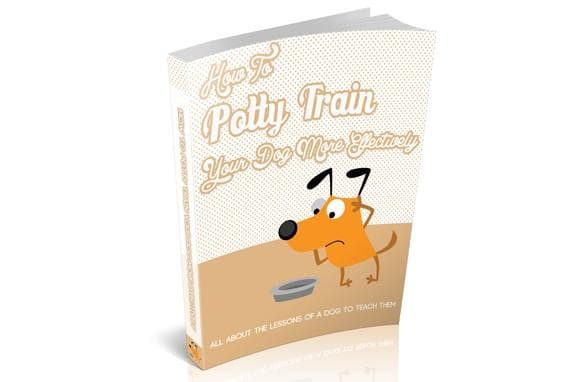 Come Potty addestrare il vostro cane in modo più efficace