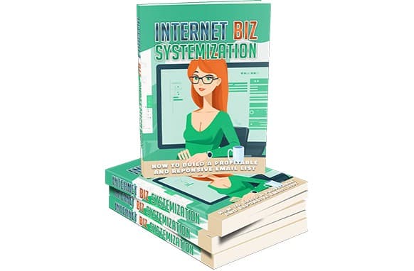 Sistematizzazione di Internet Biz