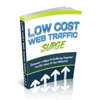 Basso costo Web Surge traffico