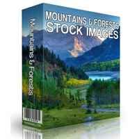 Montagne e foreste Immagine Stock Libera da Diritti