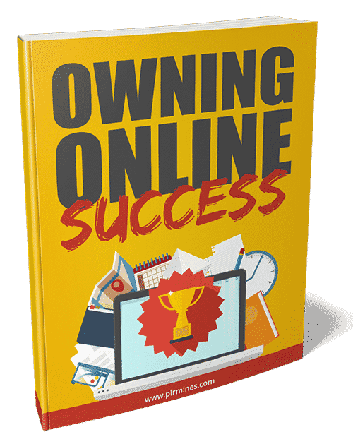 Possedere il successo online