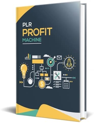 Macchina di profitto PLR