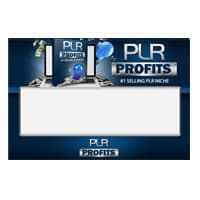Modello di profitti PLR