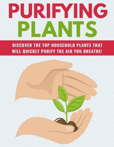 Piante purificanti