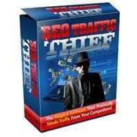 Ladro di traffico SEO