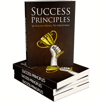 Principi di successo