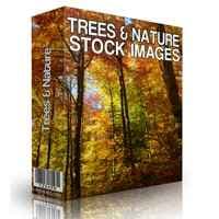 Alberi e natura Immagini Stock