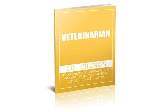 Veterinario