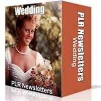 Nozze Niche Newsletters