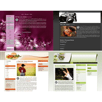 WordPress tema Blowout V2