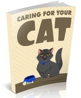 Prendersi cura del proprio gatto