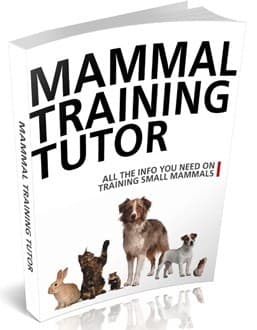 Mammifero Formazione Tutor Edition 2