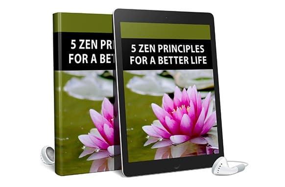 5 Principi Zen per una vita migliore