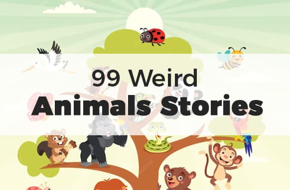 99 Strane storie di animali