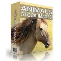 Animale Immagini Stock