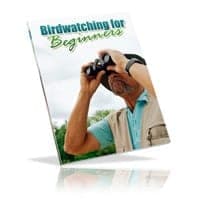 Bird Watching per principianti