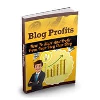 Guida ai profitti del blog