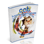 Tecniche di addestramento del gatto
