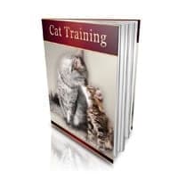 Addestramento gatti!