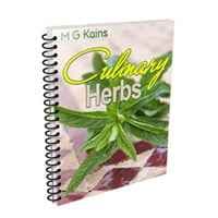 Erbe Culinarie