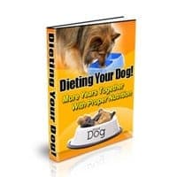 La dieta del tuo cane