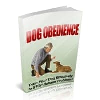 Obbedienza del cane