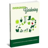 Giardinaggio Evergreen