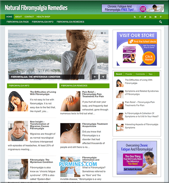 Fibromialgia Rimedio PLR Blog