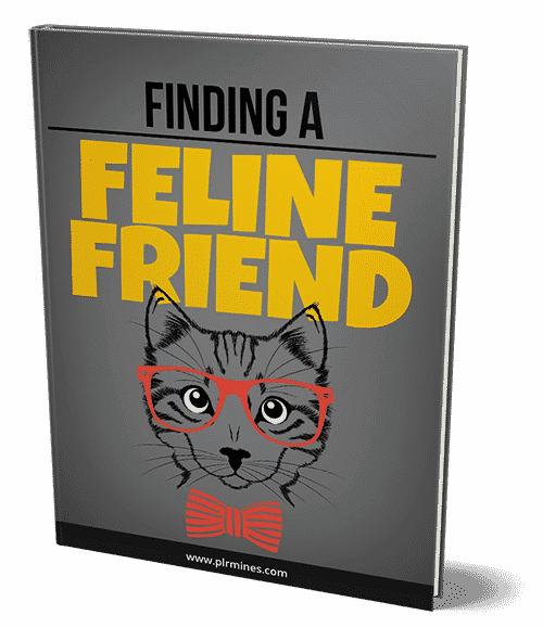 Trovare un amico felino