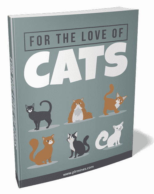 Per l'amore dei gatti 2021