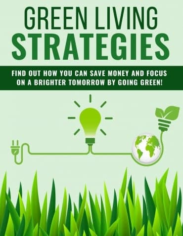 Strategie per uno Stile di Vita Green