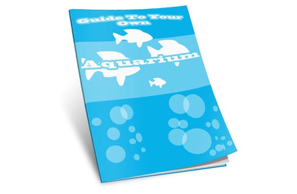 Guida al tuo acquario