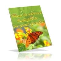 Come attirare le farfalle nel tuo giardino
