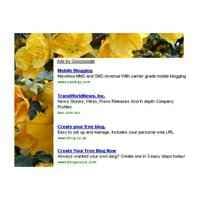 Modelli HTML per Adsense