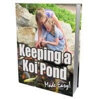 Mantenere un Koi Pond