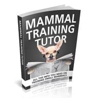 Tutor di formazione dei mammiferi