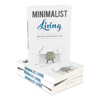 Vita Minimalista