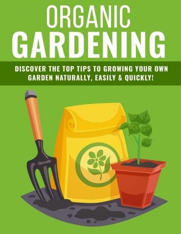 Suggerimenti per il giardinaggio biologico 2020