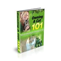 Possedere un gatto 101