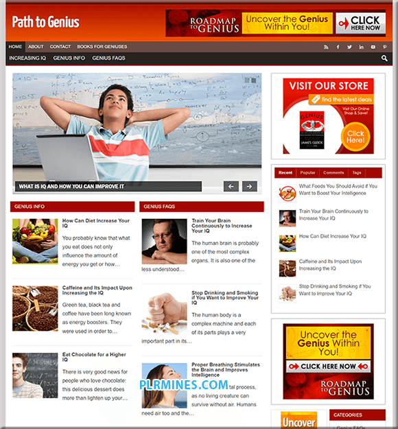 Blog di WordPress PLR sul percorso verso il genio
