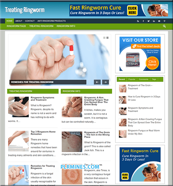 WordPress Blog